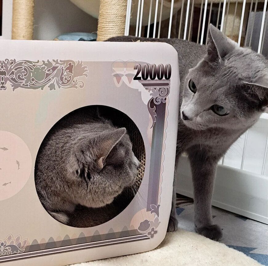 見つめ合うふたりはどんな会話をしているのかな？