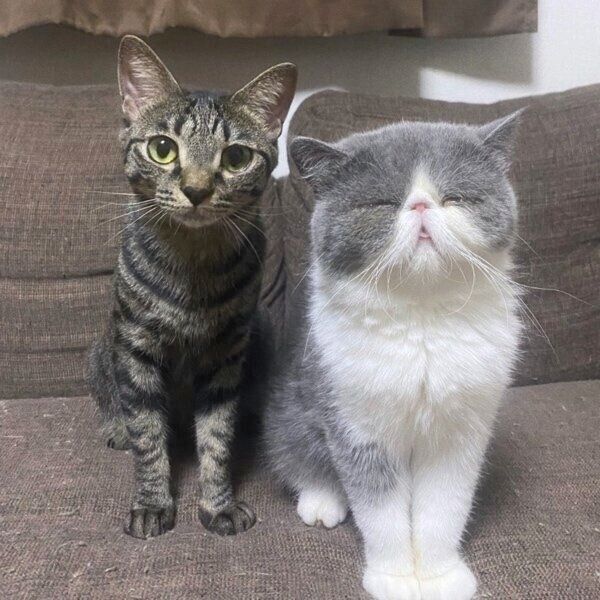 1年後のちびくんと小雪ちゃん