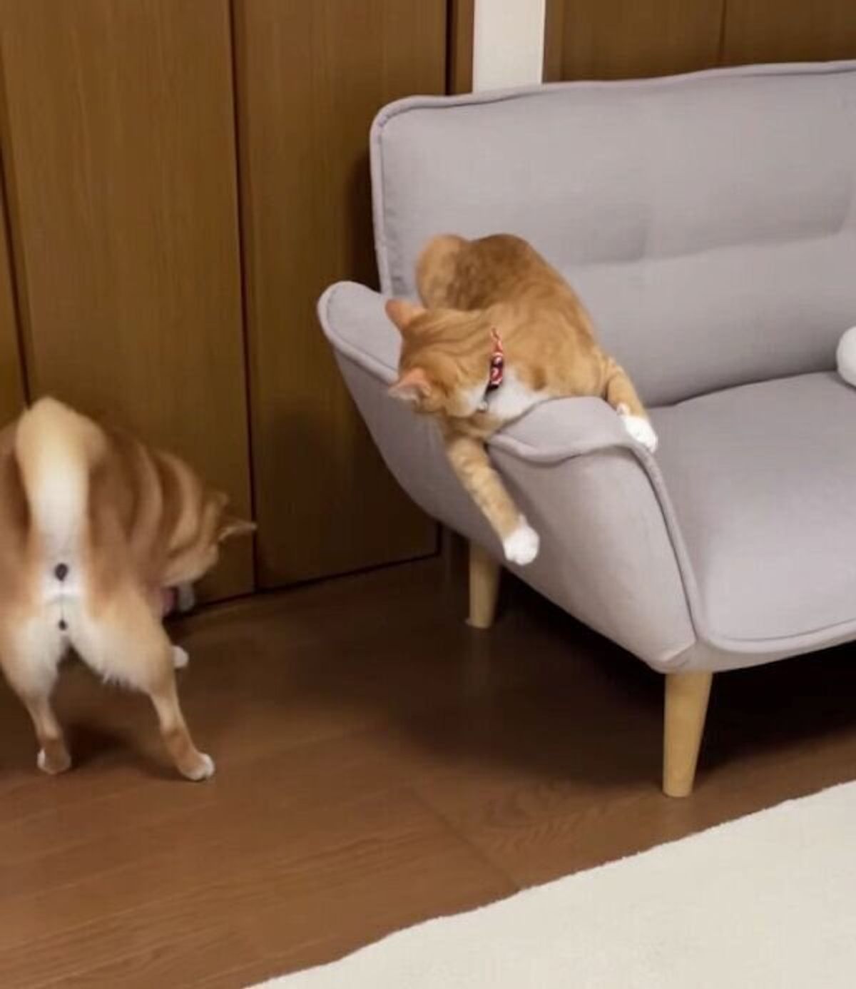 Irjkiiv7vohram Irjkiiv7vohram