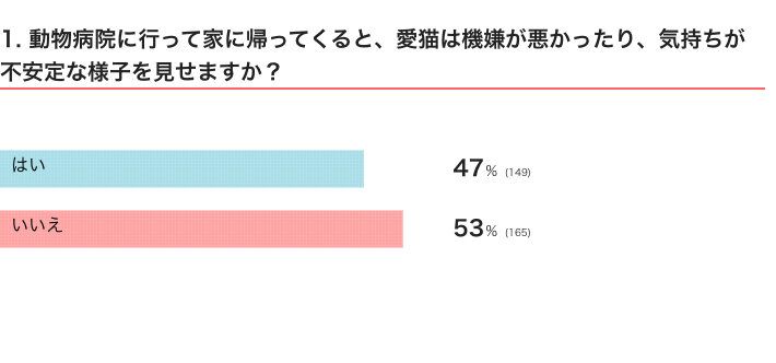 動物病院に行って家に帰ってくると、愛猫は機嫌が悪かったり、気持ちが不安定な様子を見せる？