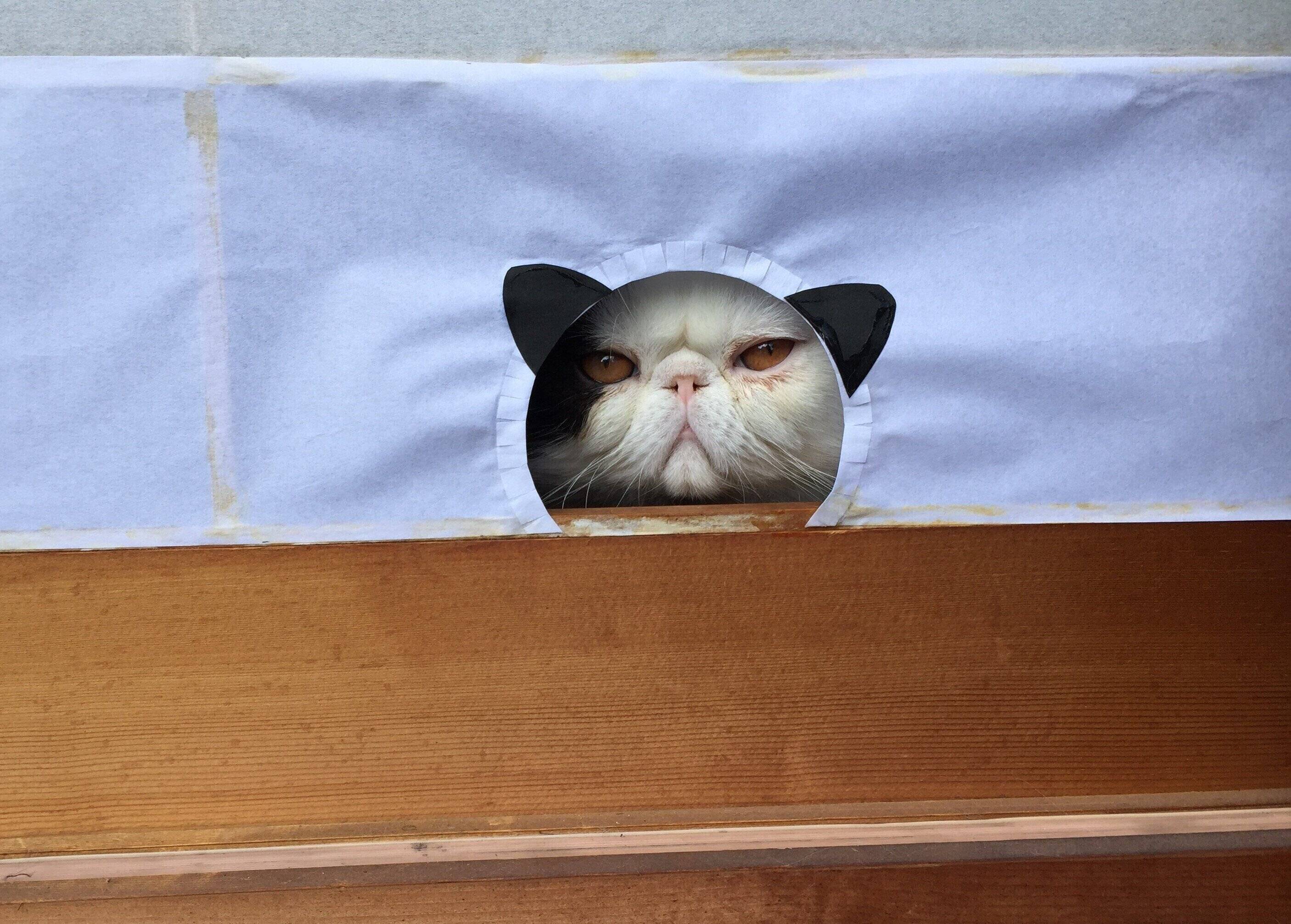 撮影／長谷川里美