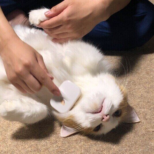 MIXのみなとくん