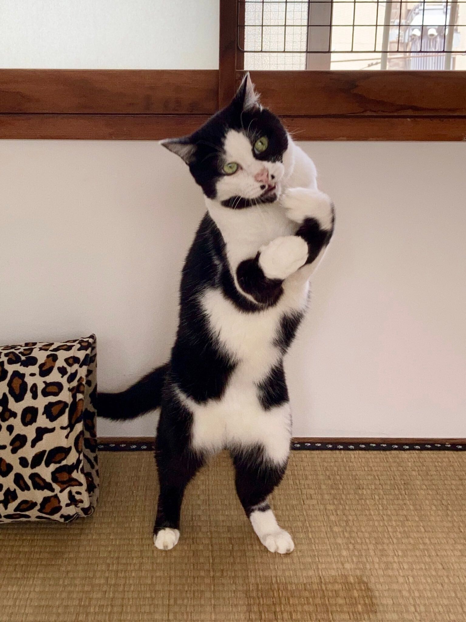 「人」感がすごいてんてん君