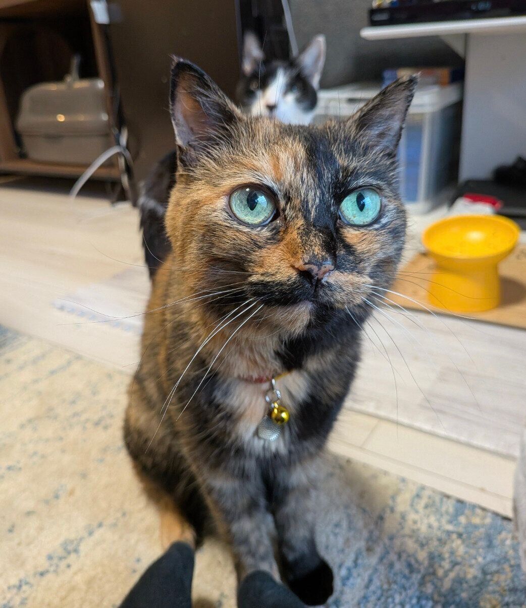 しじみちゃんの背後に写るオットーくん