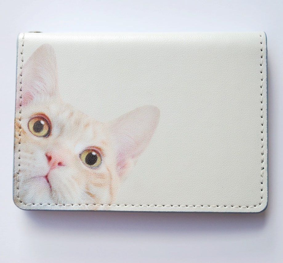 キジトラパスケース表