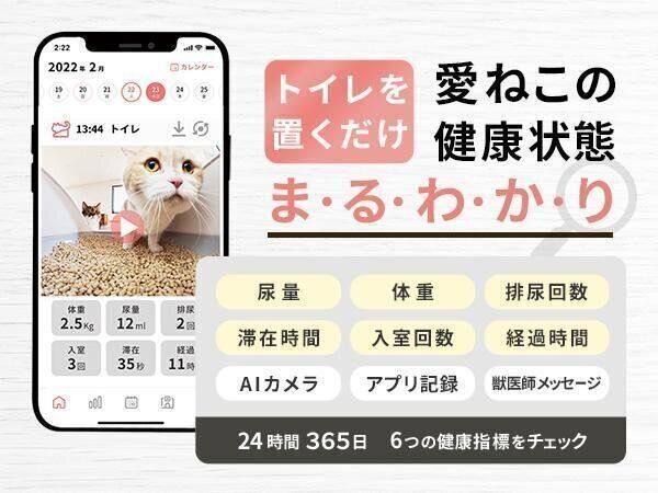 トレッタキャッツ作品
