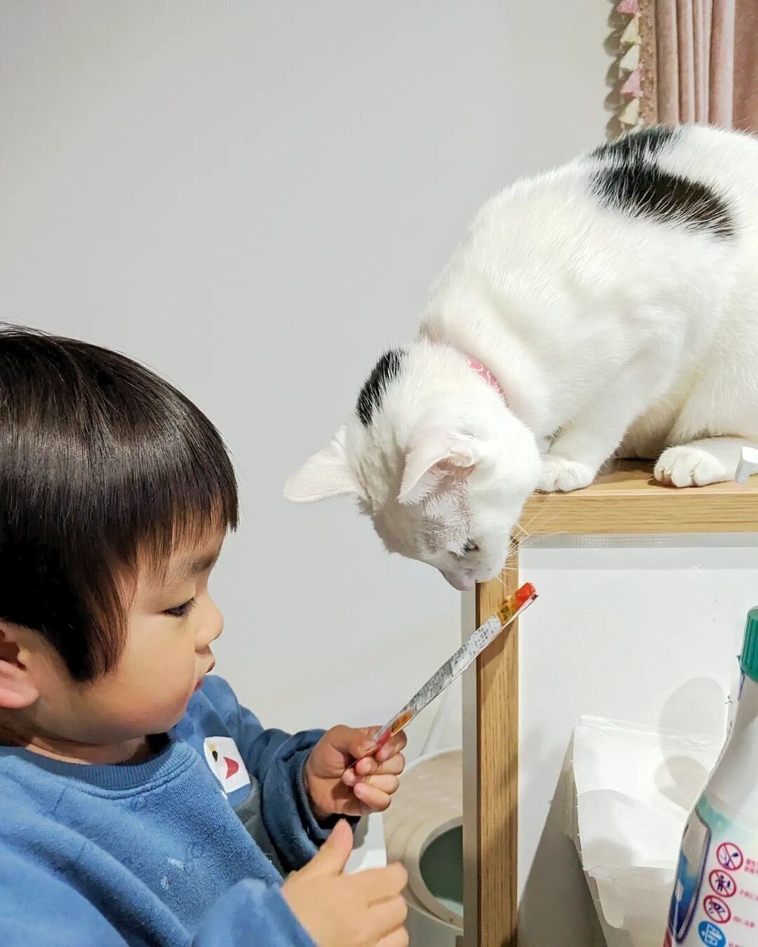 息子くんとちっちちゃん