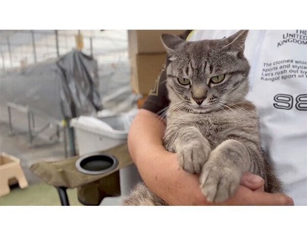 険しい表情を浮かべるコタローくん