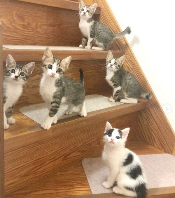 階段で遊ぶチーム「なにぬねの」