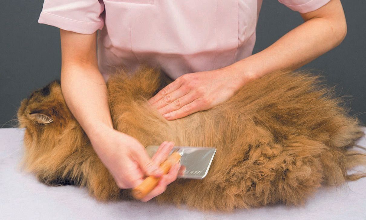 撮影／中川文作