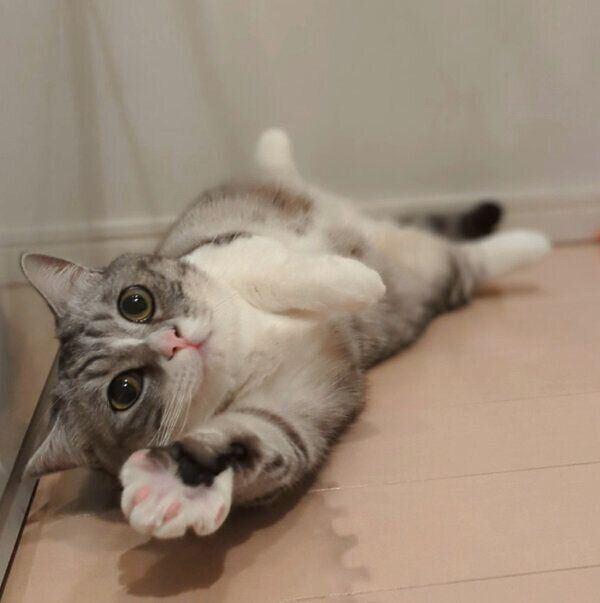 くつろぐゆずさん