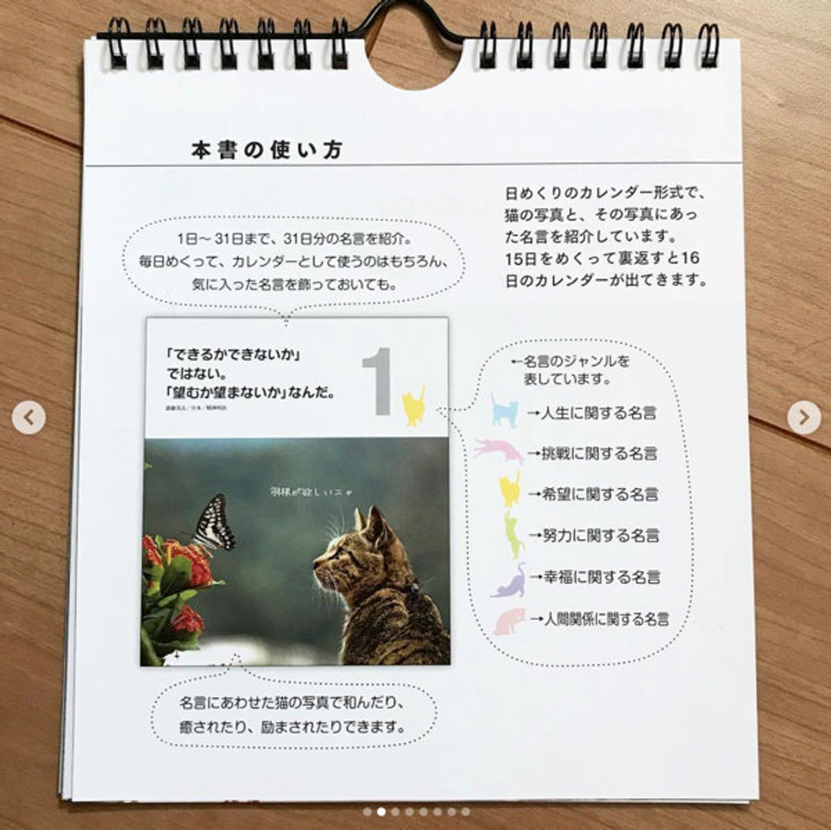 猫好きの毎日がもっとhappyに ダイソーの 日めくり名言カレンダー が素敵 ねこのきもちweb Magazine 猫好きの毎日がもっとhappyに ダイソーの 日めくり名言カレンダー が素敵 ねこのきもちweb Magazine