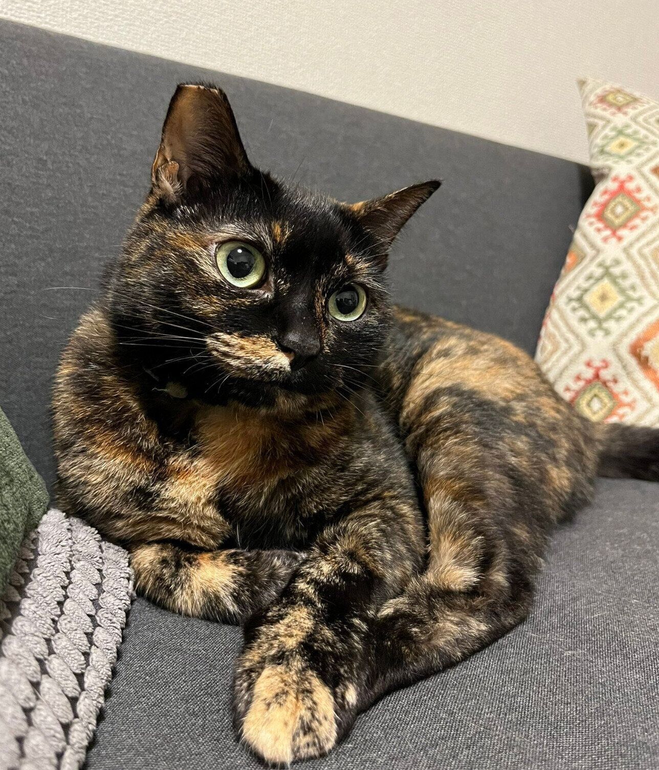 くつろぐがんもちゃん