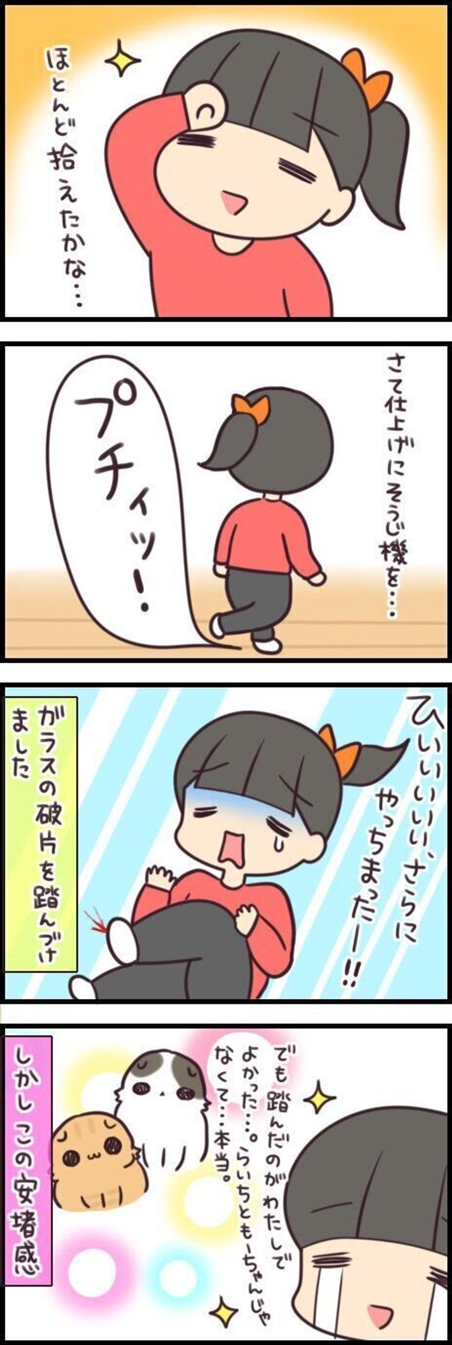 たまにやらかすと焦る 割れたガラスを猫が踏まないために 最終チェックは自分の足裏 連載 もふもふスコたん 193 ねこのきもちweb Magazine たまにやらかすと焦る 割れたガラスを猫が踏まないために 最終チェックは自分の足裏 連載 もふもふスコたん 193 ねこのきもちweb Magazine
