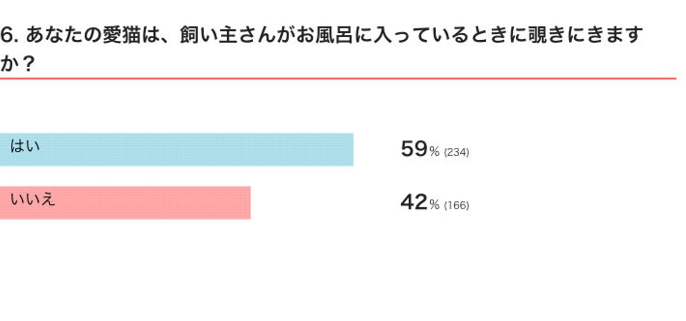 お風呂タイムの飼い主を覗きにくる猫は約6割 猫たちが見せるかわいい行動 ねこのきもちweb Magazine お風呂タイムの飼い主を覗きにくる猫は約6割 猫たちが見せるかわいい行動 ねこのきもちweb Magazine