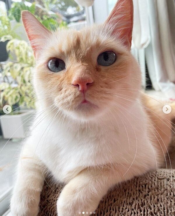 見つめるてとちゃん