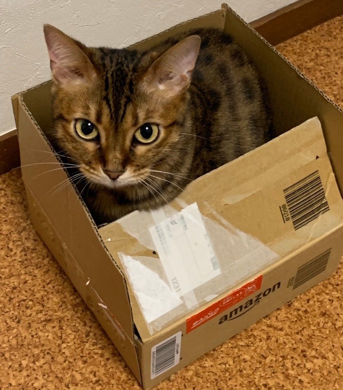 ↑小野さんのまつりちゃん♥