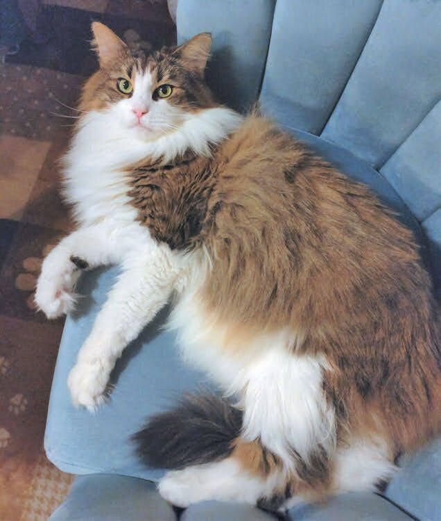 キレイになったジュンジュンくん