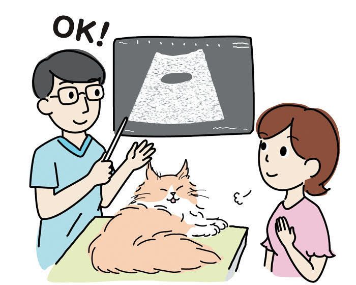 イラスト／chizuru