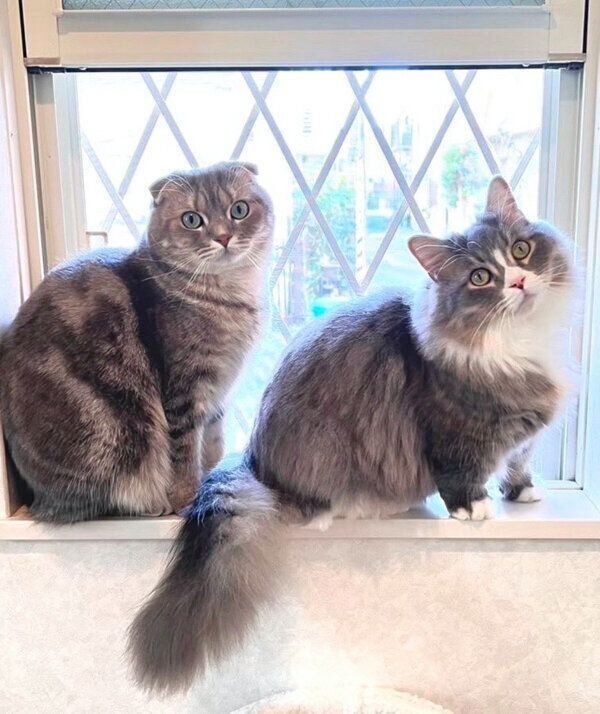 見つめるまんぼうくん、くつ下くん