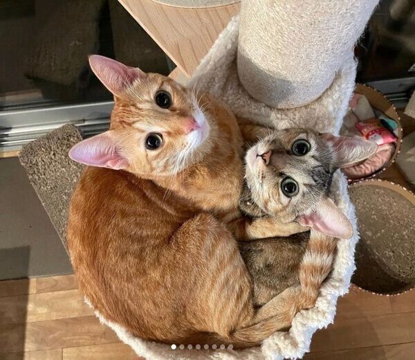 仲良しなノイくんとノアちゃん
