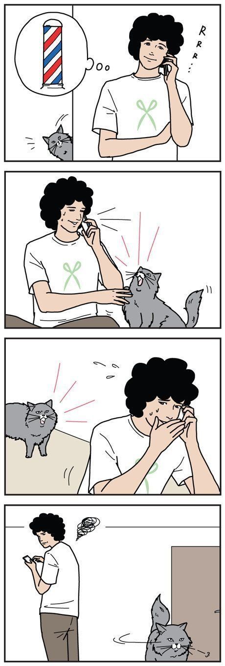 男の猫道