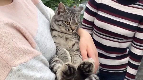 抱っこされるコタローくん