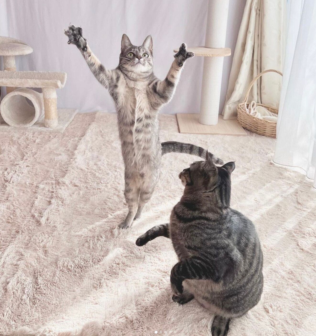 ジャンプするコユビちゃんを見て驚くえるくん