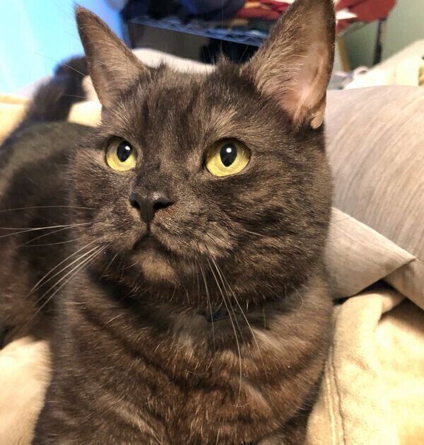 まったりするあおみねくん