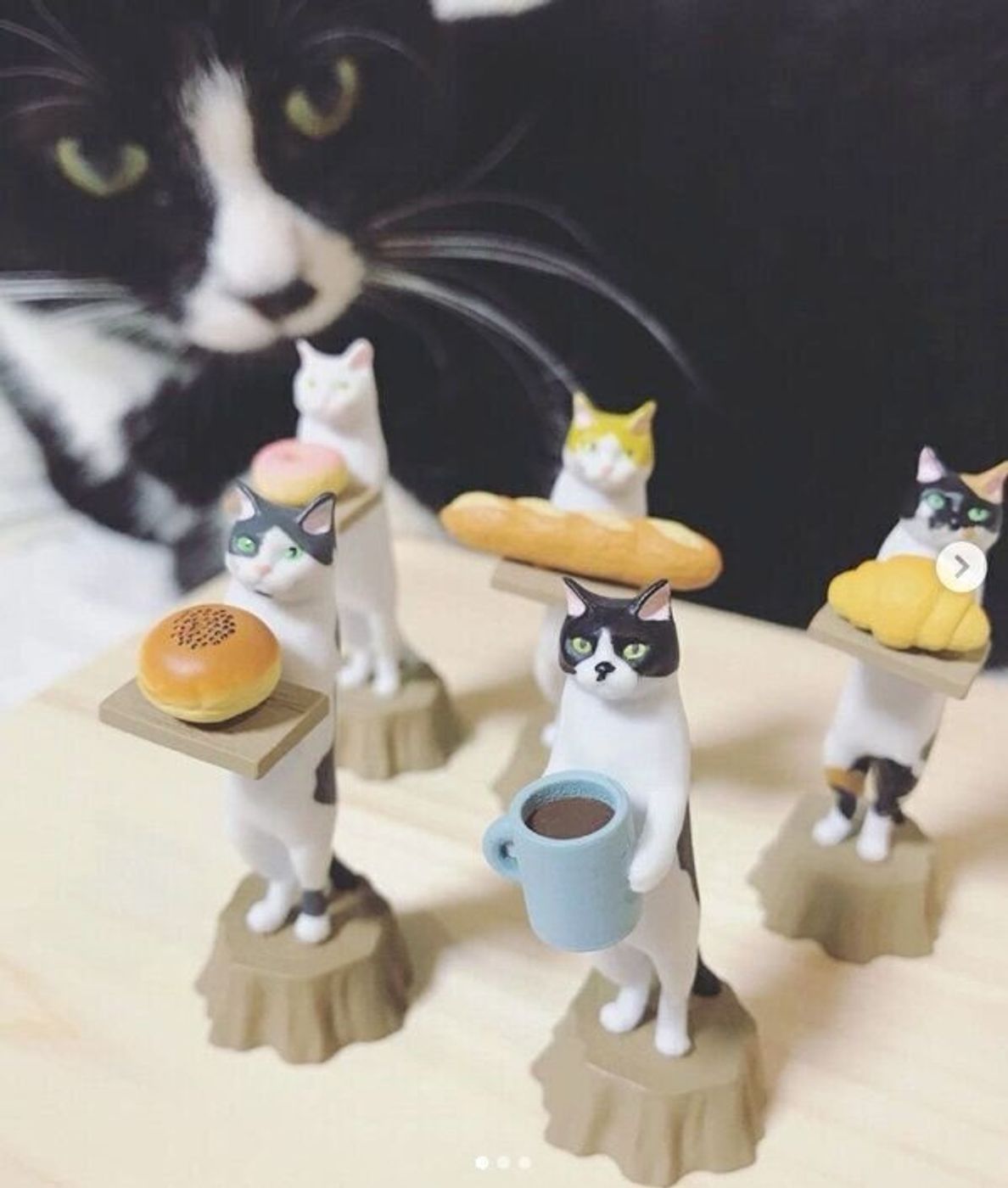 話題のカプセルトイ ねこのパン屋さん 楽しみ方のバリエーションがすごかった ねこのきもちweb Magazine 話題のカプセルトイ ねこのパン屋さん 楽しみ方のバリエーションがすごかった ねこのきもちweb Magazine