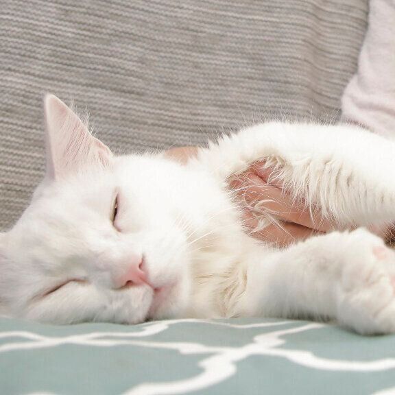 撮影／尾﨑たまき