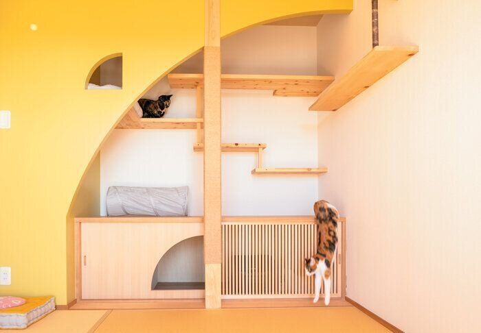 猫部屋でくつろぐ2匹の猫