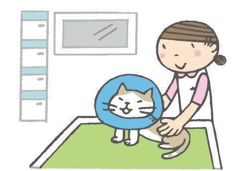 イラスト／かつまたひろこ