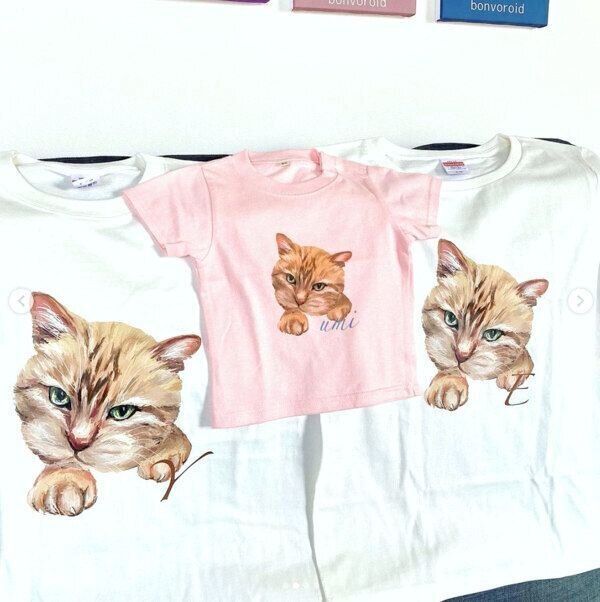 Bonvoroidの猫作品