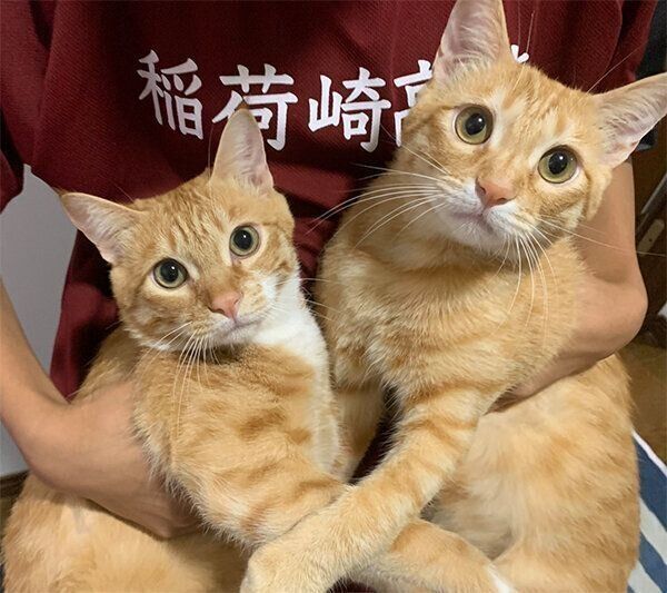 抱っこされるツムくんとサムくん