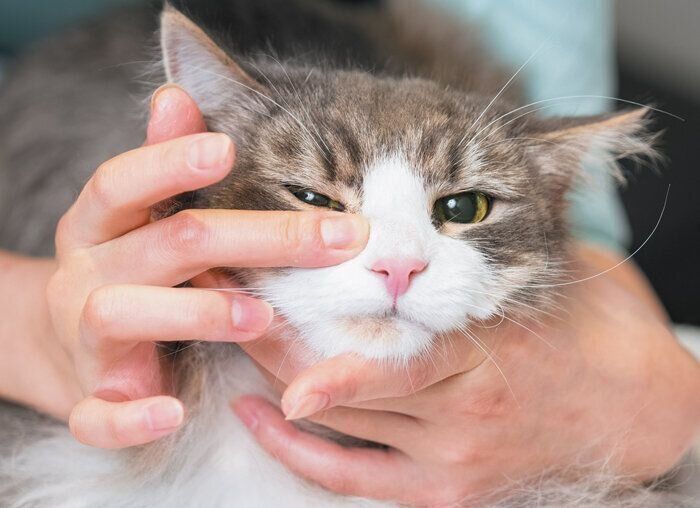 やさしく刺激して