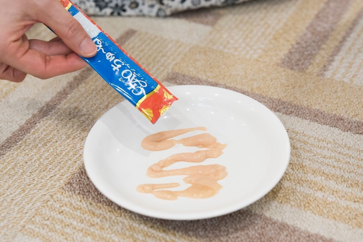 撮影／中川文作