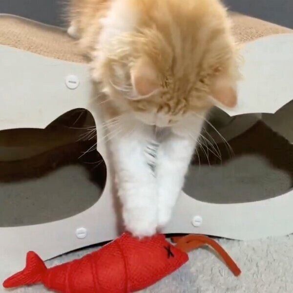 ザリガニさん釣りをするテオくん