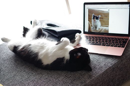 夢みるソラのとんでもない行動