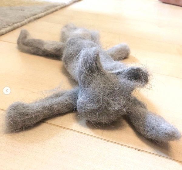 ブリティッシュショートヘアの抜け毛でできた「パチベビー」