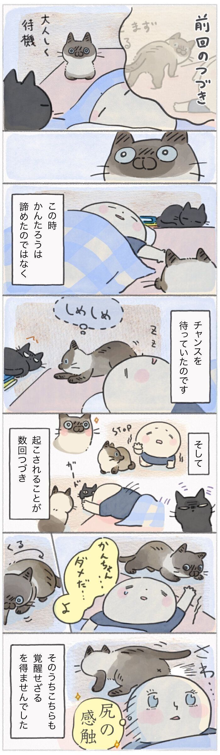 「ねこ連れ草」292話め