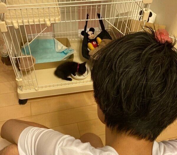 ケージでごはんを食べる美雨ちゃんと、それを見守る旦那さん