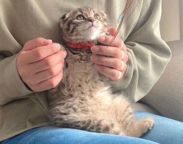 抱っこされて嬉しそうなまつたけちゃん