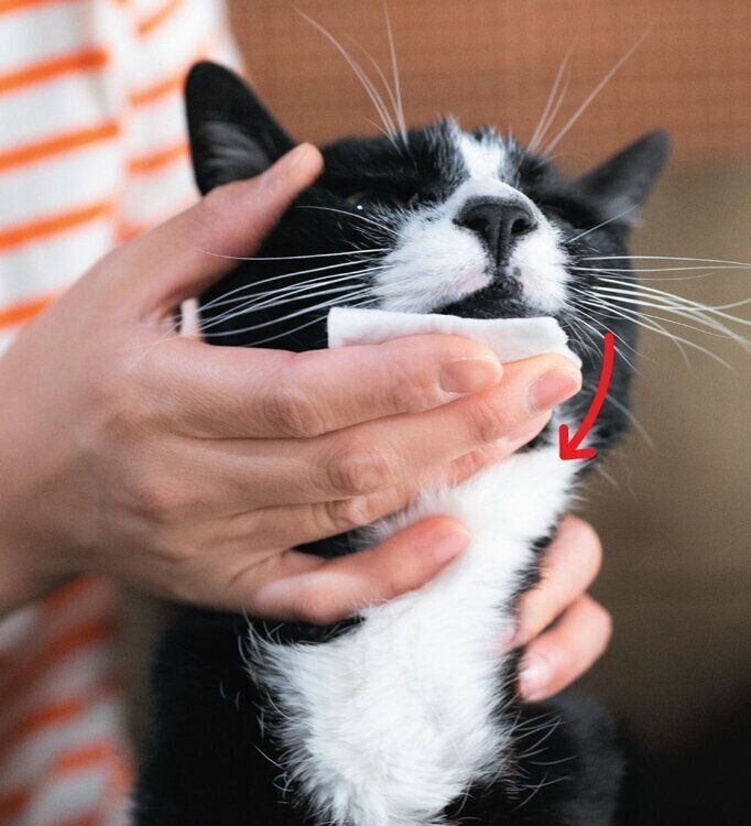 あごニキビのケア方法2