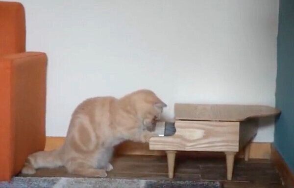 ピアノを触るととろちゃん