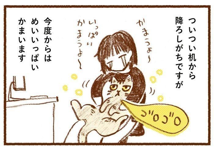 作業のじゃまをするときの猫の本音とは？