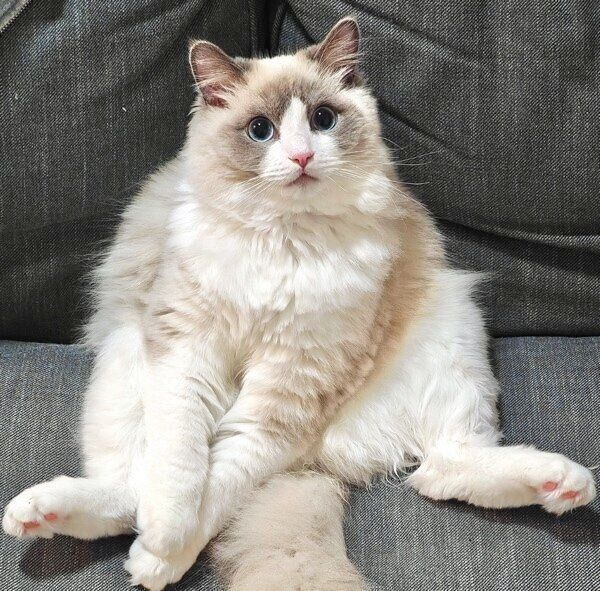 生後10カ月のむーむーくん