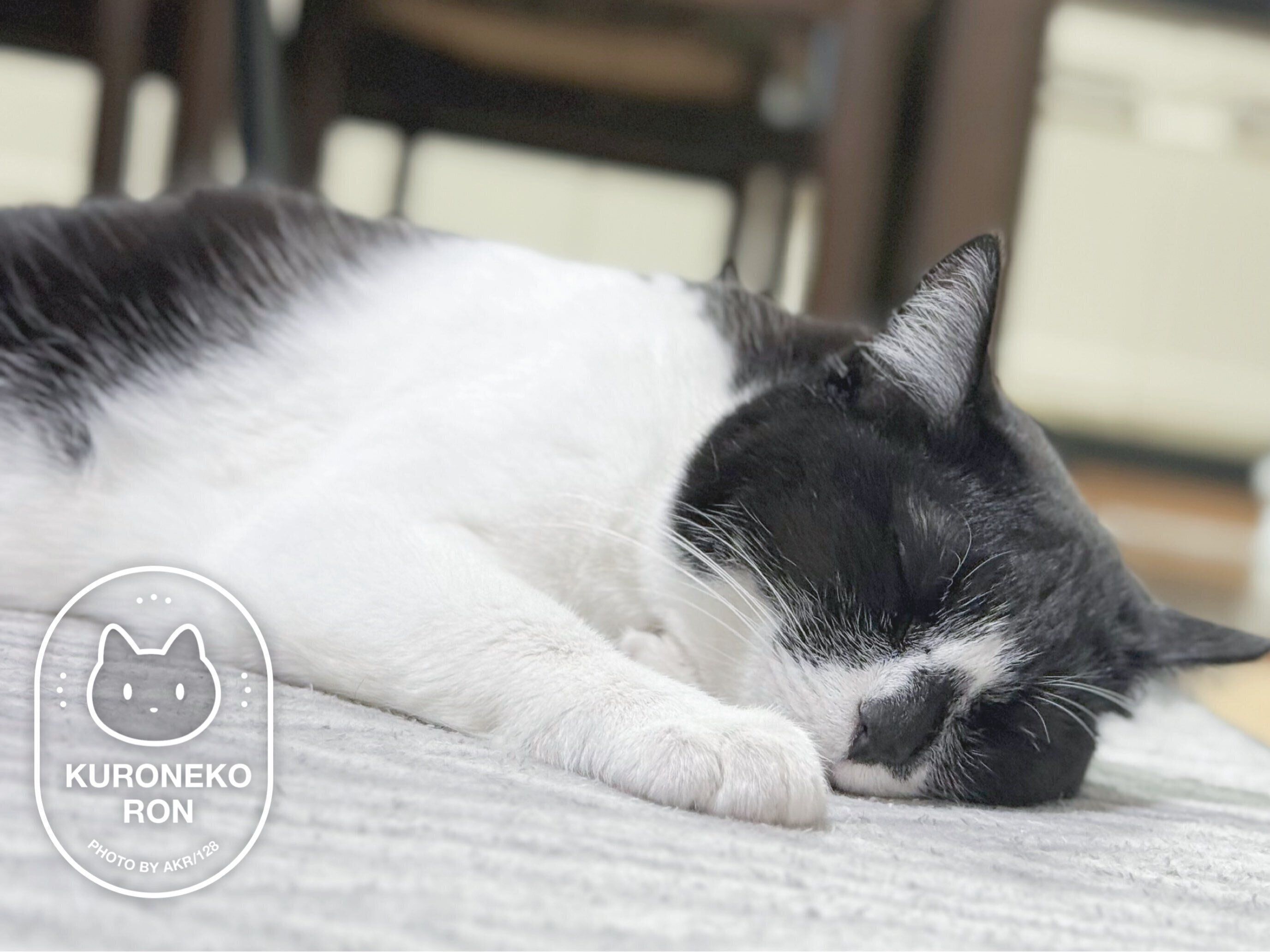 気持ちよさそうに眠るまめさん