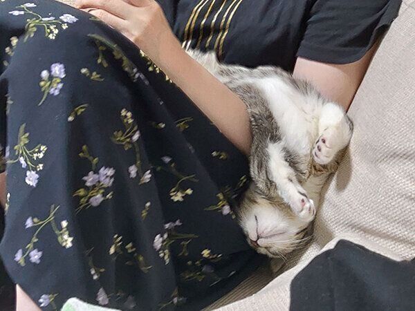 エビ反りで寝ちゃうもかちゃん