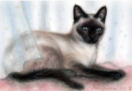 店主さんの愛猫ルビーちゃんの肖像画